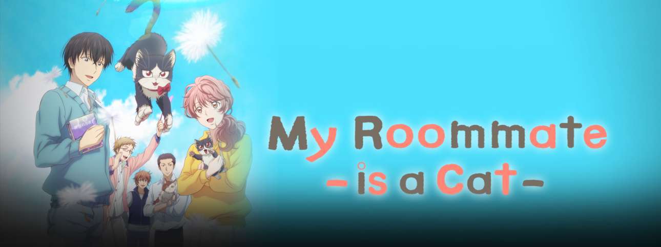 Watch My Roommate Is A Cat Sub Dub Comedy Slice Of Life Anime