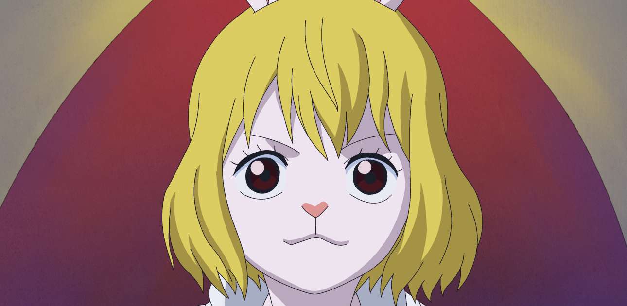 One Piece Episode 862 Sub Indo Belajar One Piece Episode 862 Sub Indo Belajar