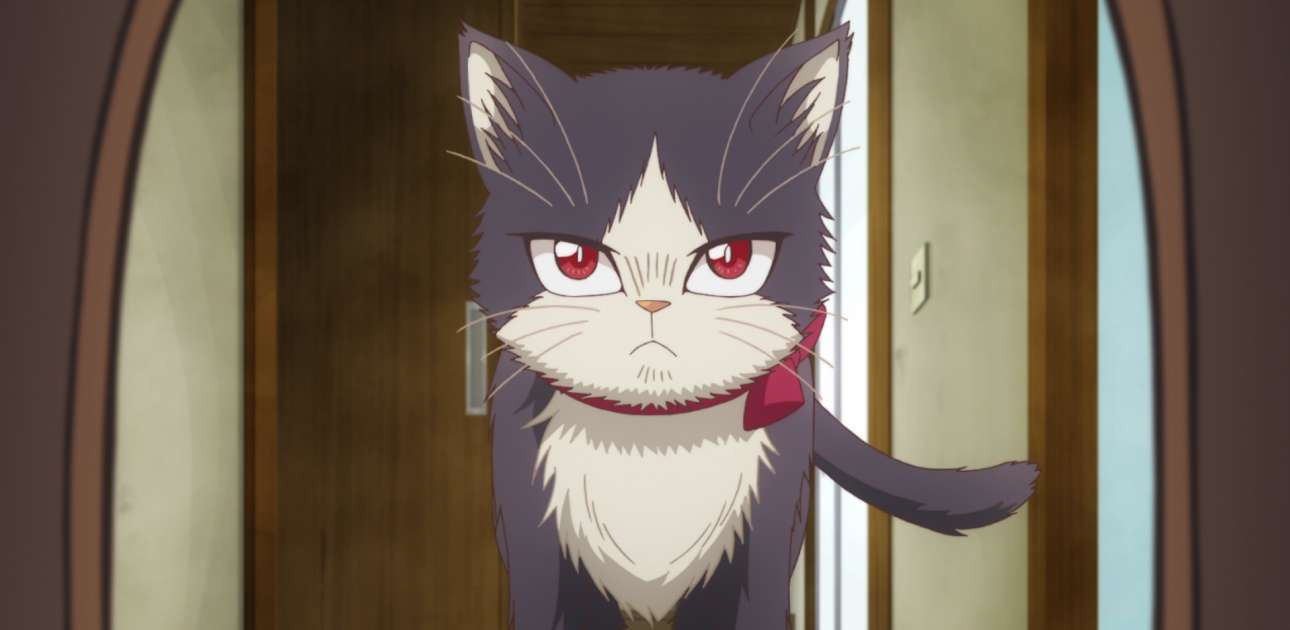 Watch My Roommate Is A Cat Season 1 Episode 11 Sub Dub Anime