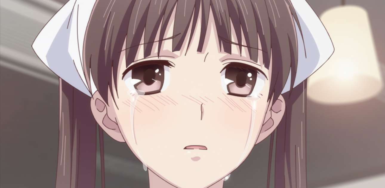 Watch Fruits Basket Season 1 Episode 14 Sub Dub Anime Uncut Funimation