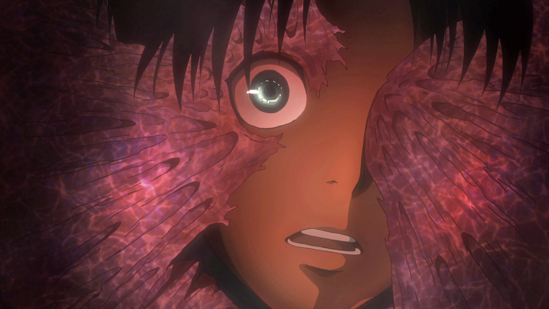 attack on titan english dub spanish sub