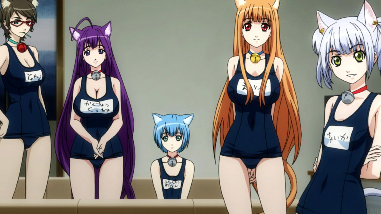 Watch Cat Planet Cuties Season 1 Episode 3 Sub Dub Anime Uncut Funimation.