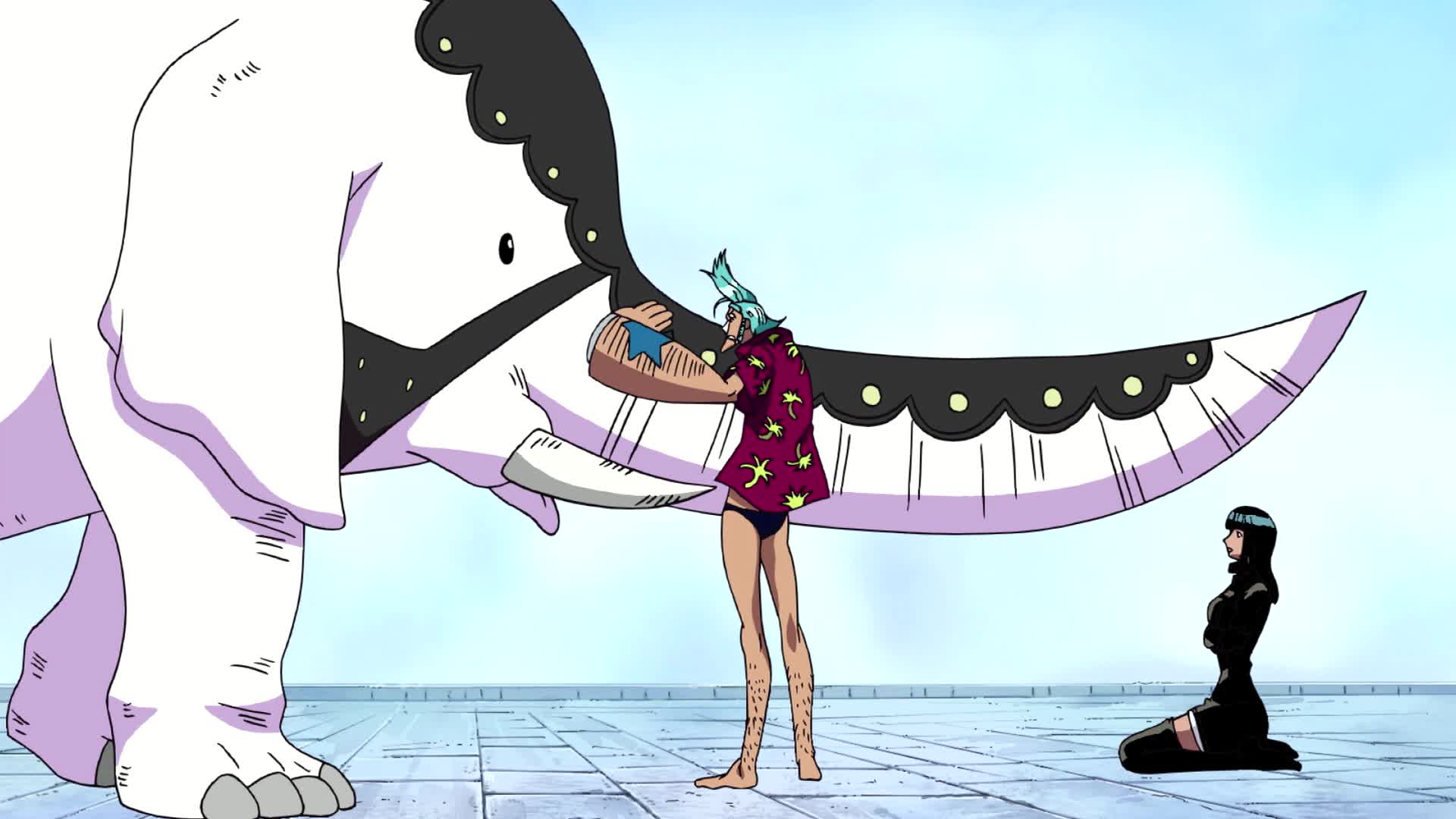 Watch One Piece Season 5 Episode 306 Sub Dub Anime Uncut Funimation