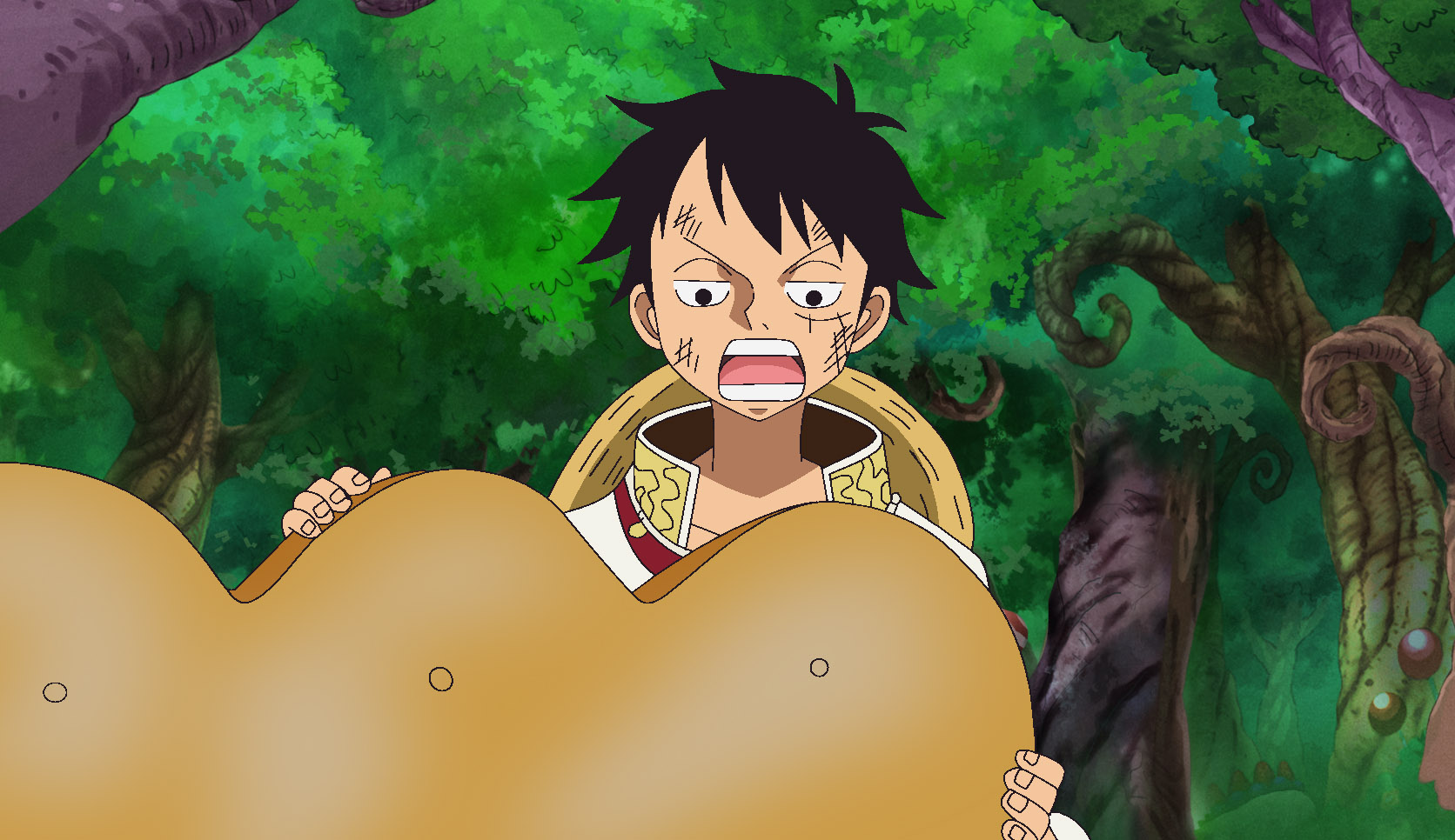 Watch One Piece Season 13 Episode 805 Sub Dub Anime Simulcast Funimation