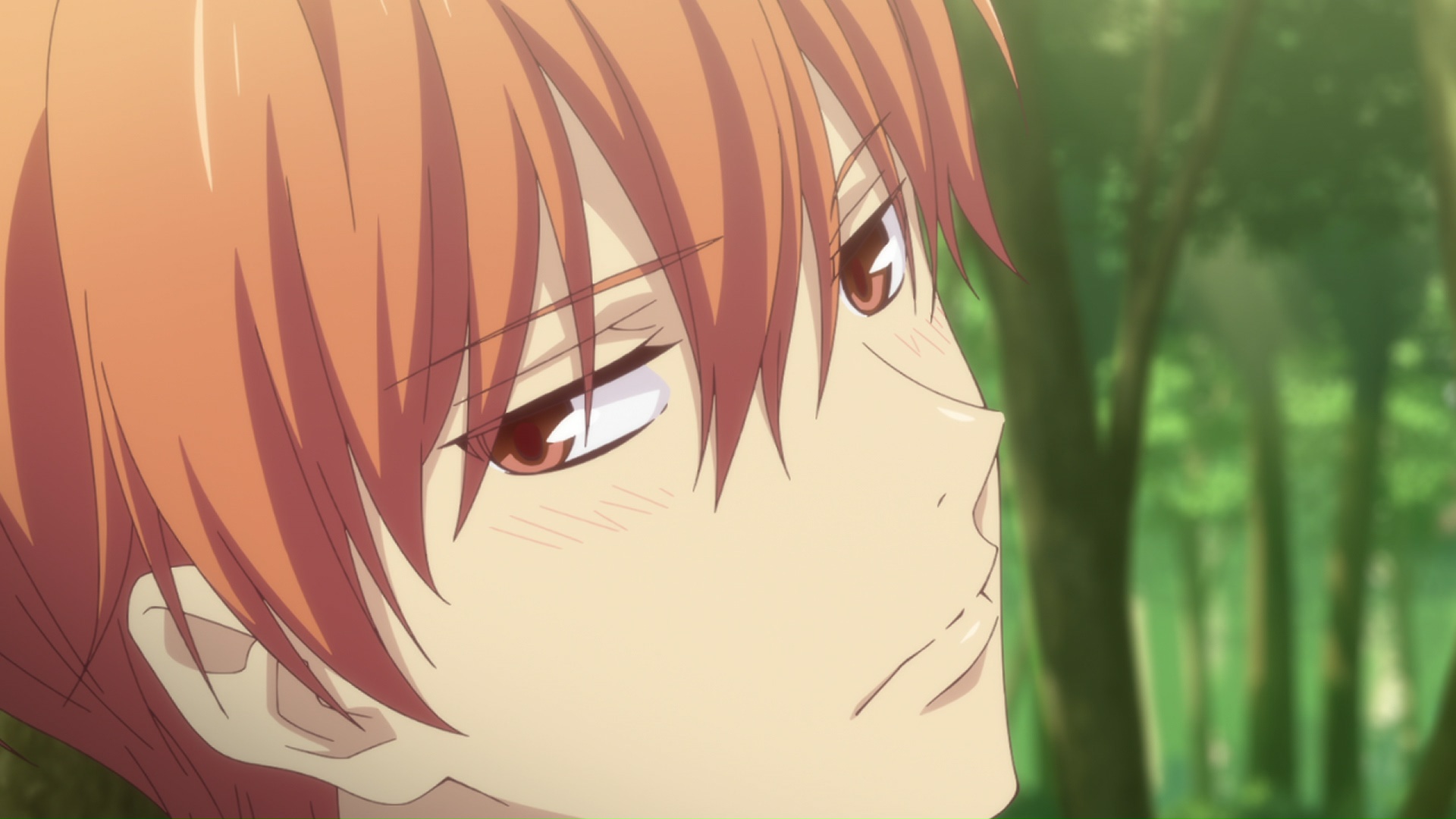 Watch Fruits Basket Season 1 Episode 15 Sub & Dub | Anime Simulcast