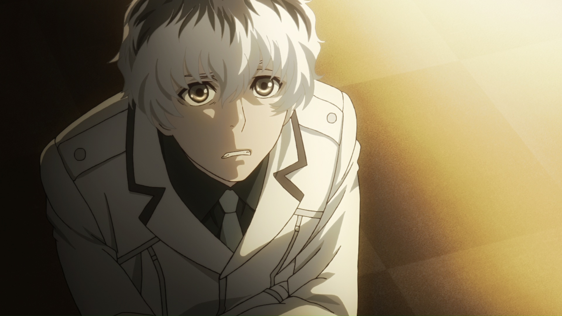 Featured image of post Tokyo Ghoul S01E03 Bluray Following an awards ceremony where many of the investigators are promoted haise hosts a celebratory dinner at the chateau