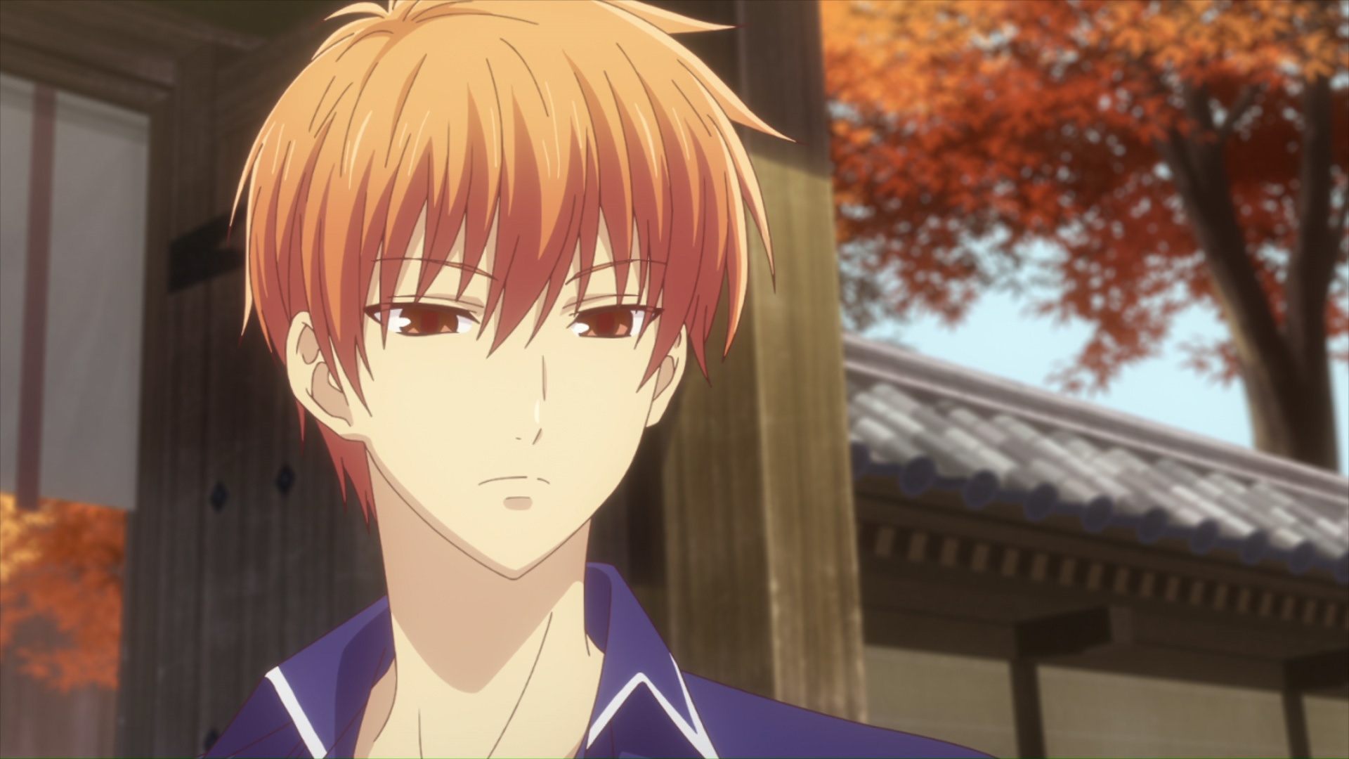 Watch Fruits Basket Season 2 Episode 17 Sub & Dub | Anime Simulcast