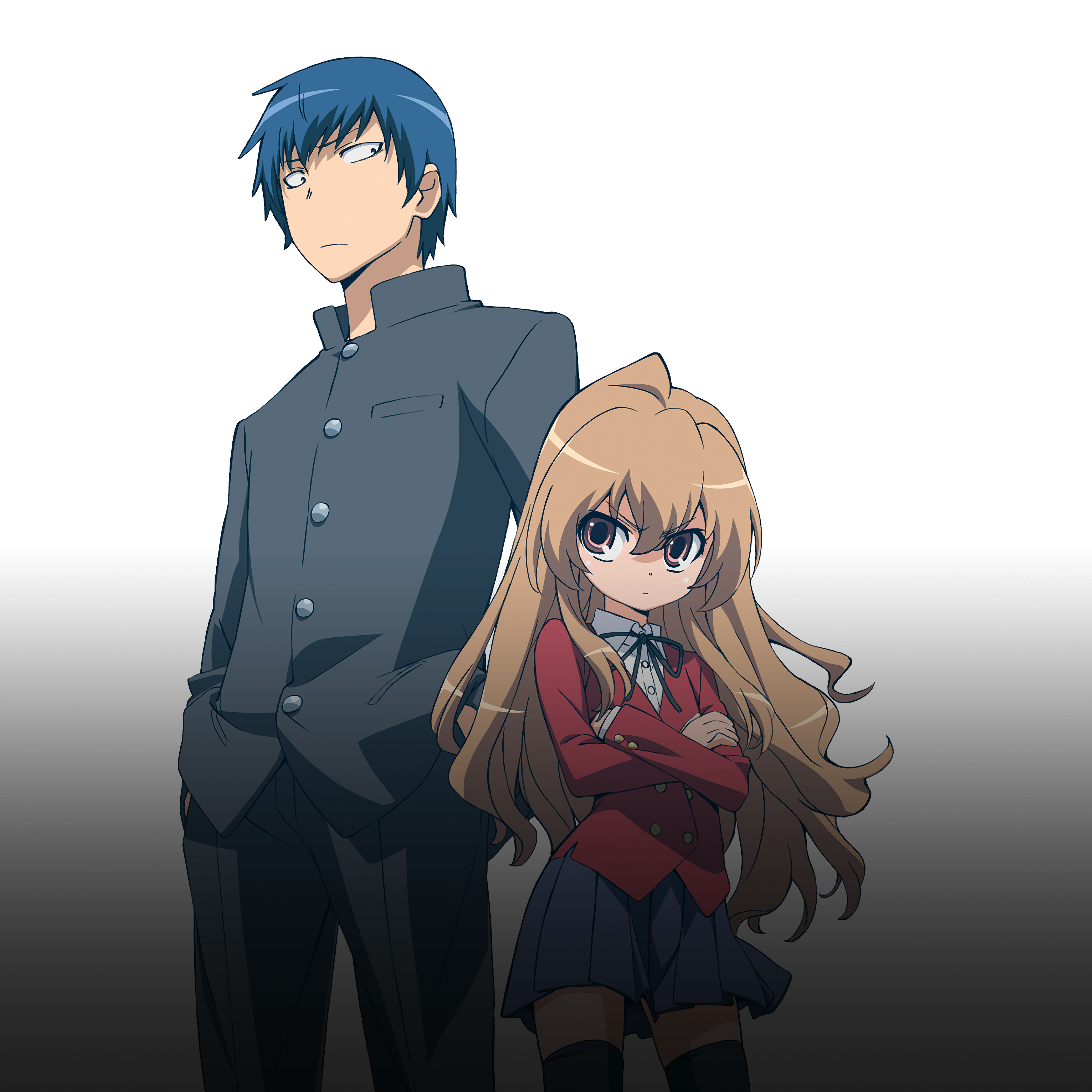 Featured image of post Toradora Eng Dub Was selected as a recommended work by the awards jury of the 13th japan media arts festival in 2009