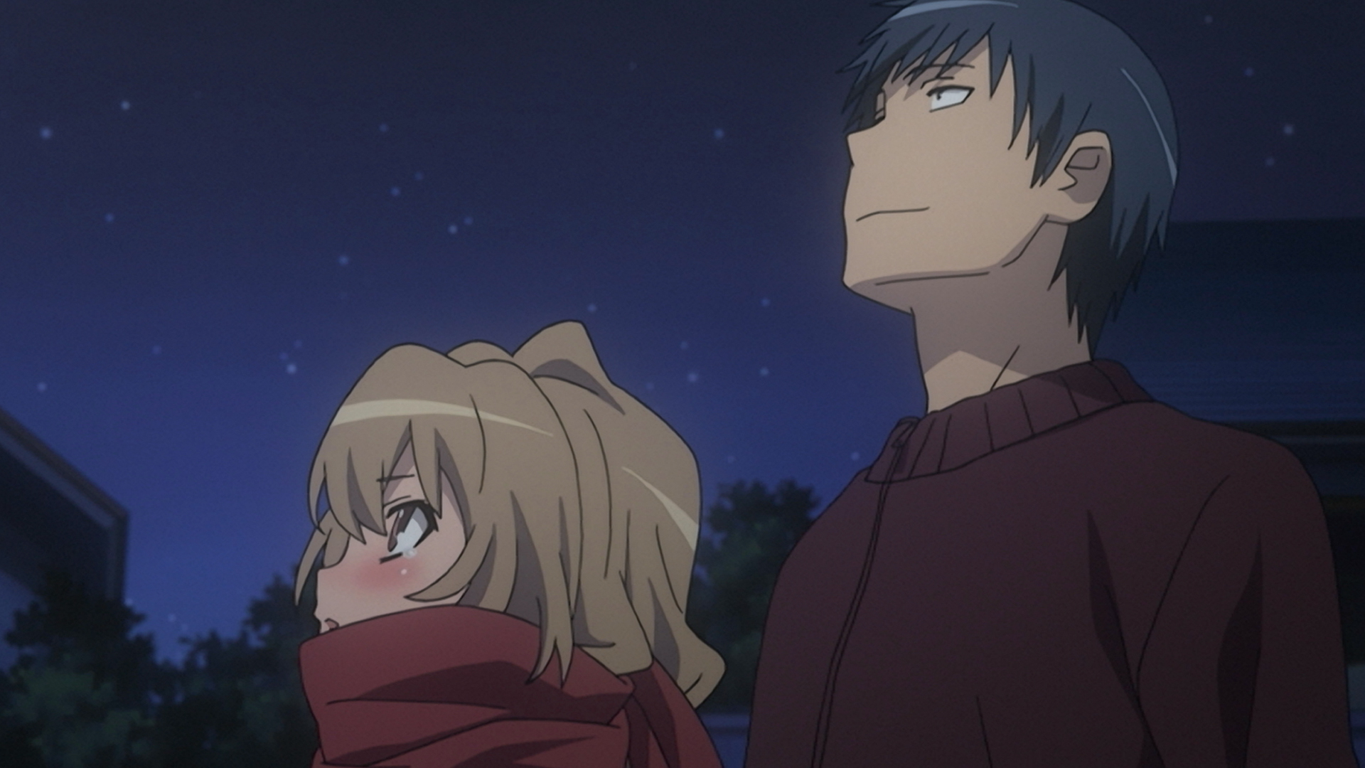 Watch Toradora! Season 1 Episode 15 Sub & Dub | Anime Uncut | Funimation