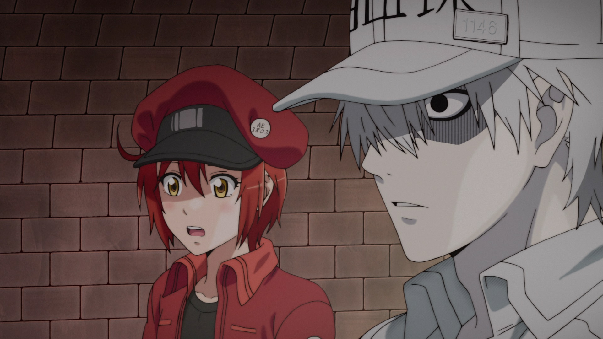 Watch Cells At Work Season 1 Episode 1 Sub And Dub Anime Uncut Funimation 