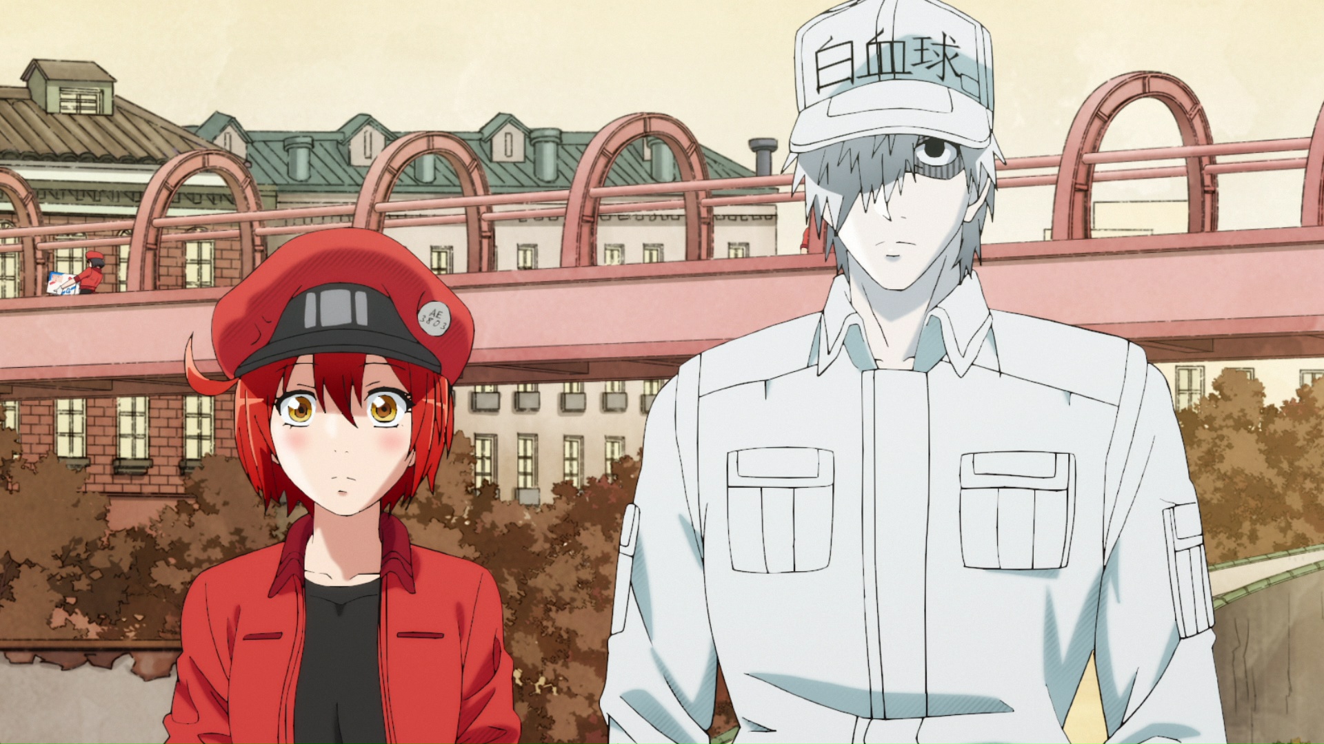 Watch Cells at Work! Season 1 Episode 10 Sub & Dub | Anime Uncut