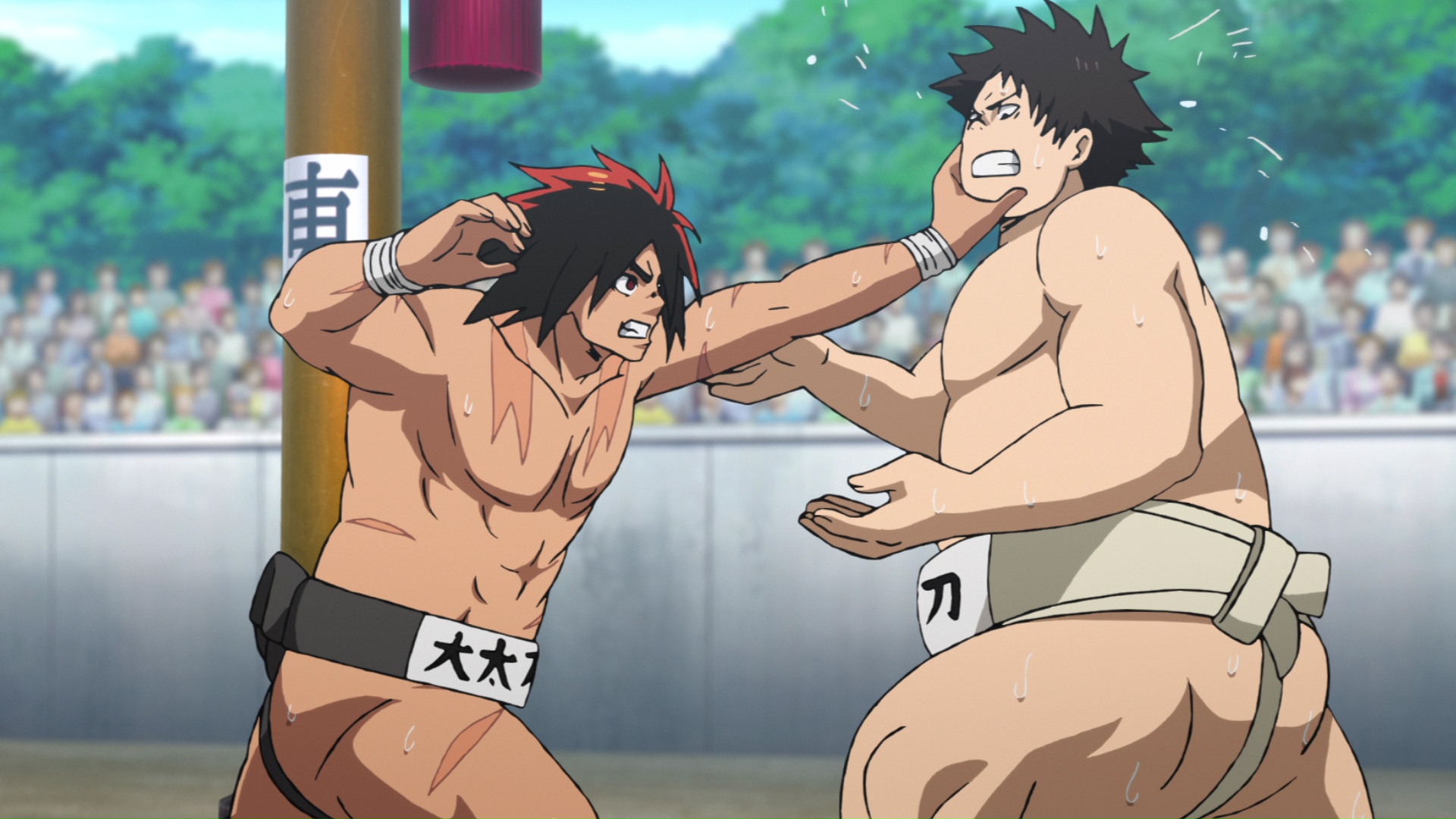 Hinomaru Sumo  Watch on Funimation