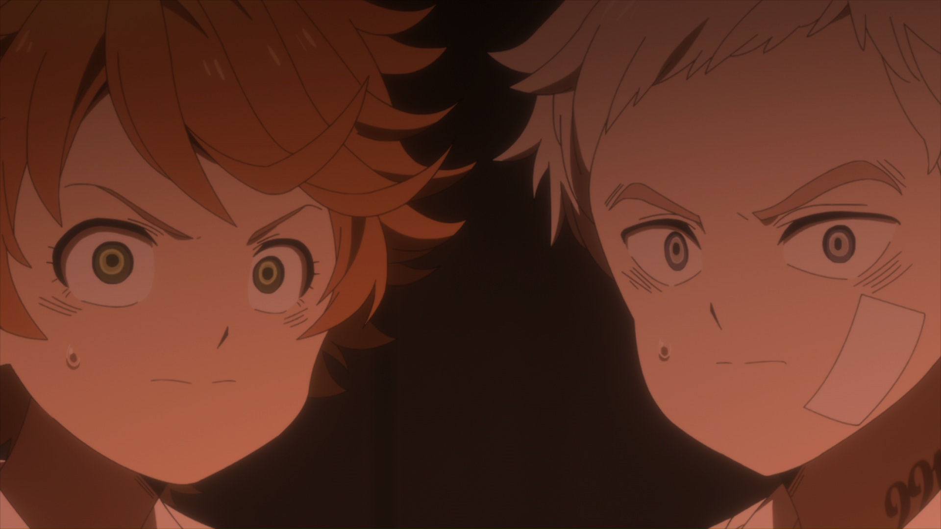 Funimation 2025 promised neverland