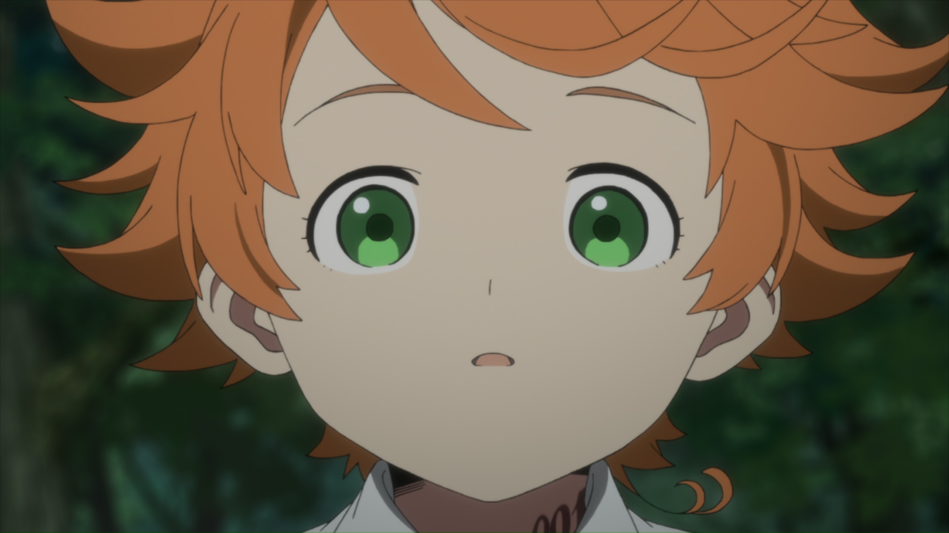 The Promised Neverland Season 1 - The Promised Neverland