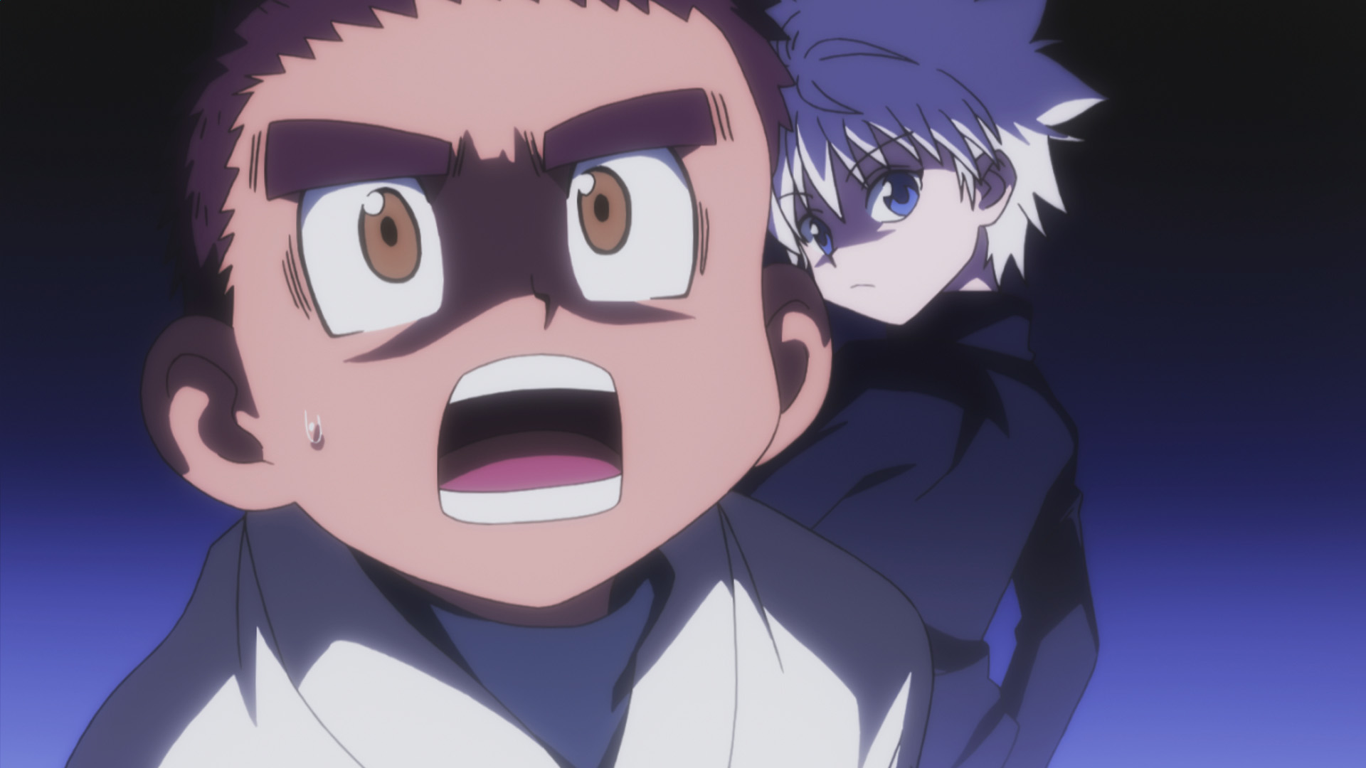 watch hunter x hunter 2011 english sub episode 27