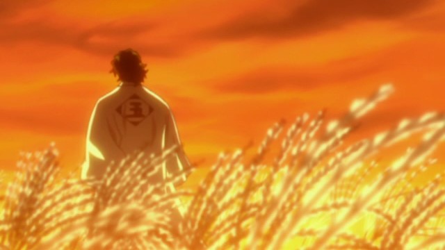 Bleach: Sunset Swish: Jan/Feb - Minitokyo