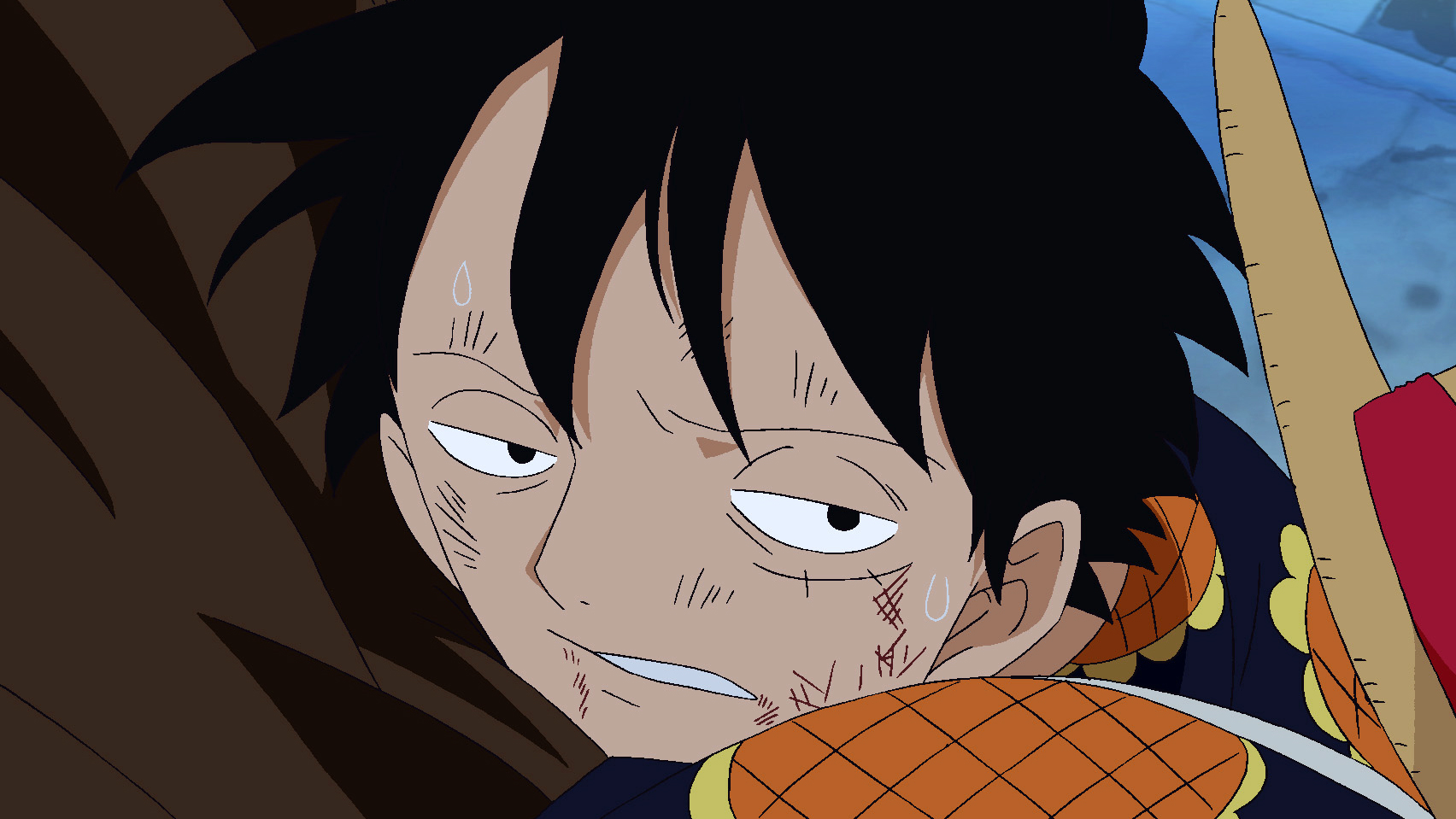 Flame Dragon King Protect Luffy S Life Watch On Funimation