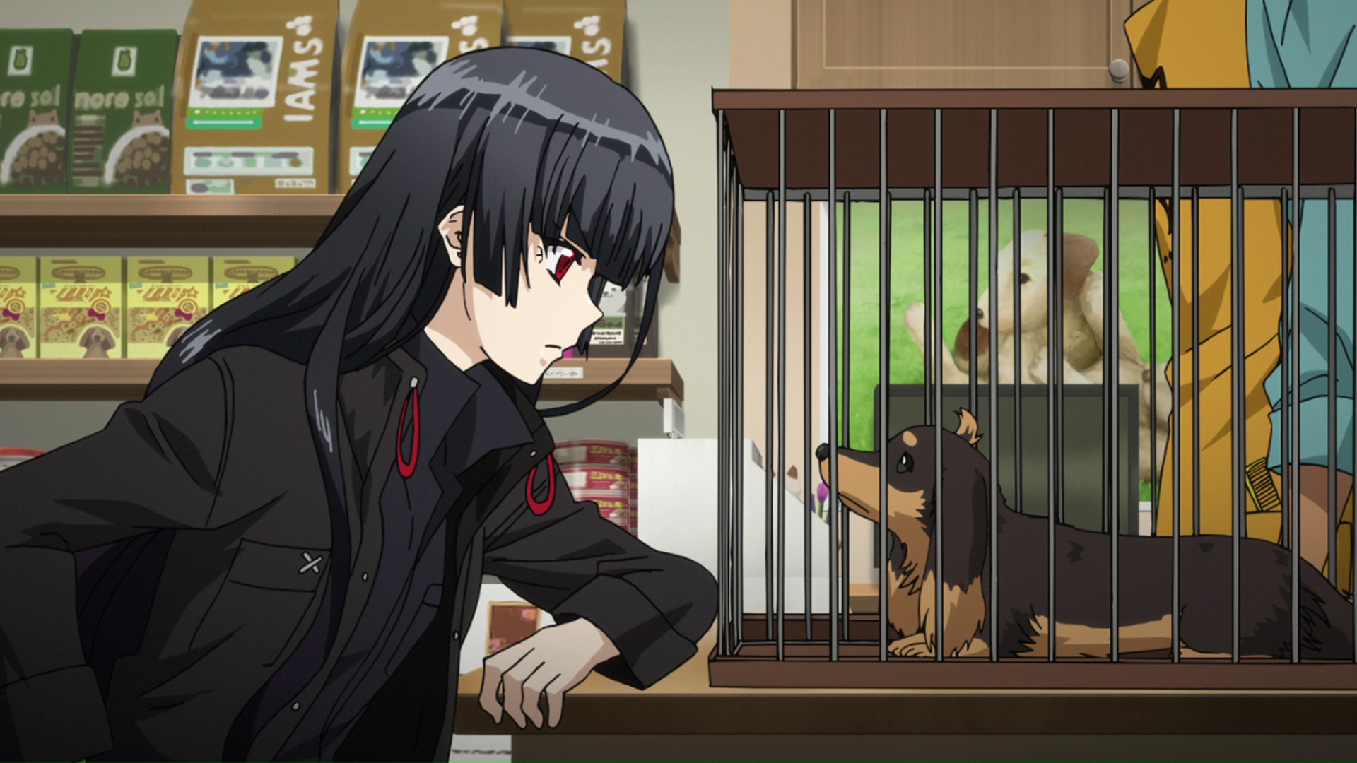 Inu to Hasami wa Tsukaiyou Dog and Scissors a Bit Absurd Episode 1  The  Huge Anime Fan