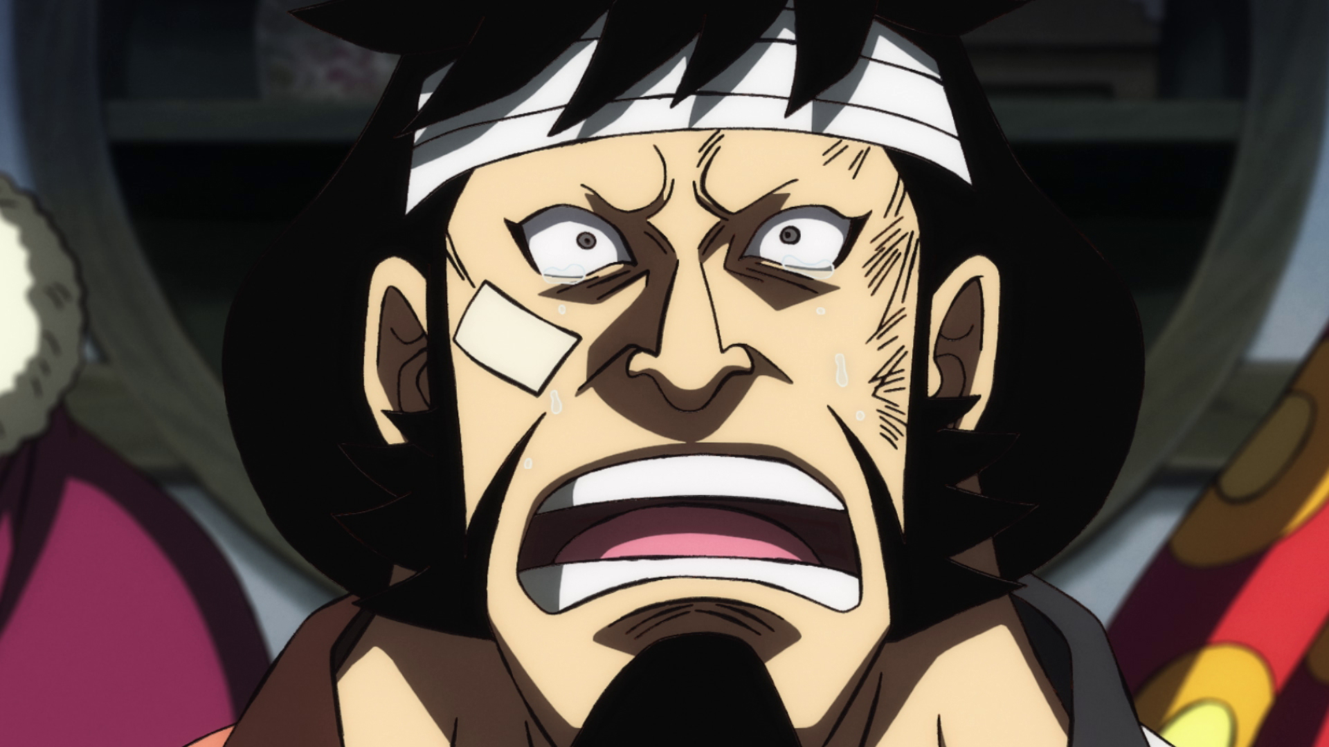 One Piece: WANO KUNI (892-Current) Oden Appears! The Confused