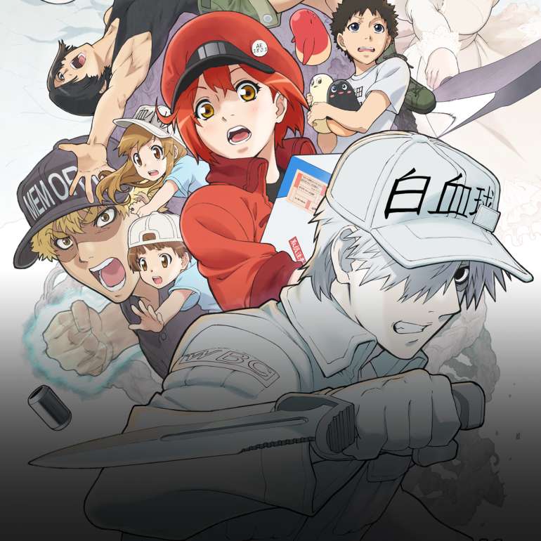 Watch Cells At Work Sub Dub Comedy Shounen Anime Funimation