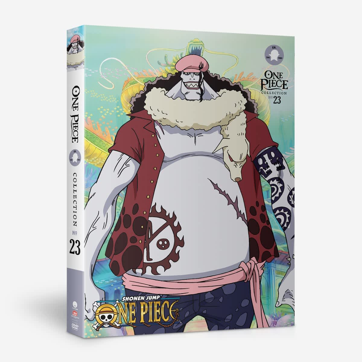 one piece dvd collection box set