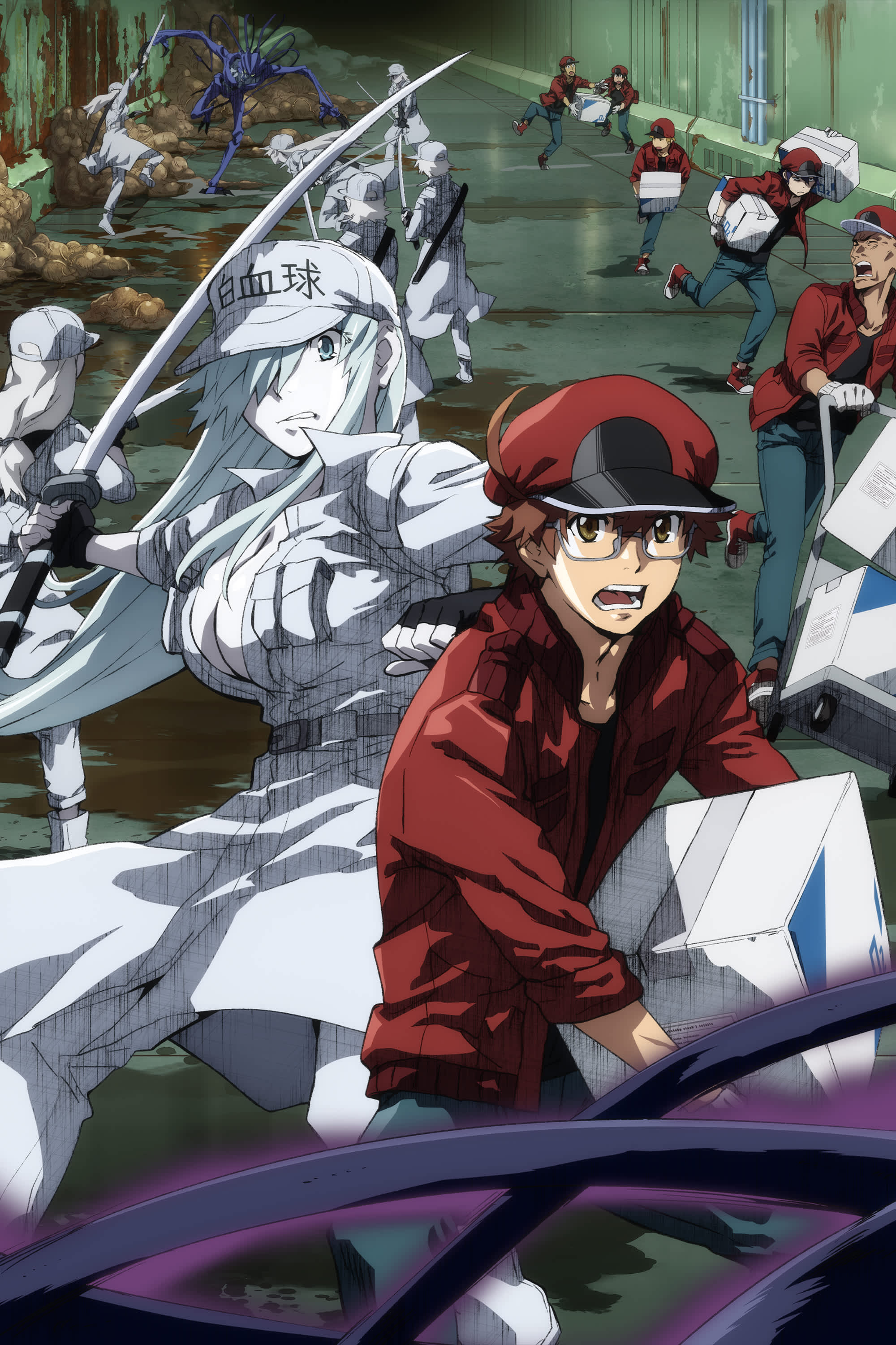 Cells at Work Season 2, Black Clover Updates and Tales of Smyphonia on  Crunchyroll?!