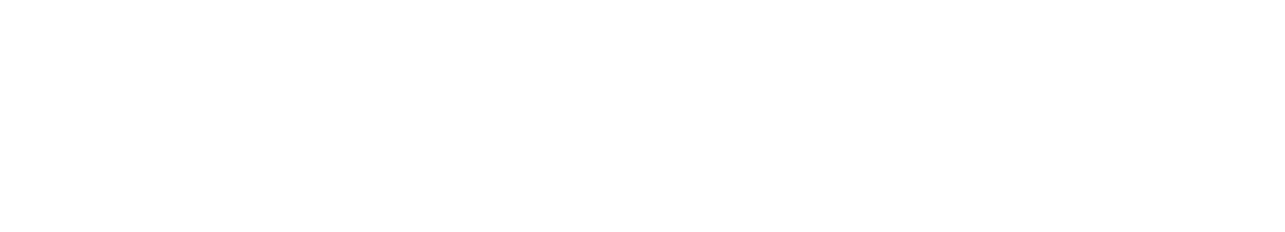 Crunchyroll Logo White