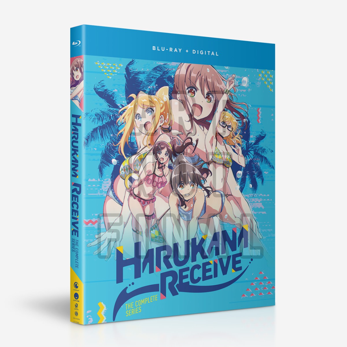 Dvd Anime Harukana Receive