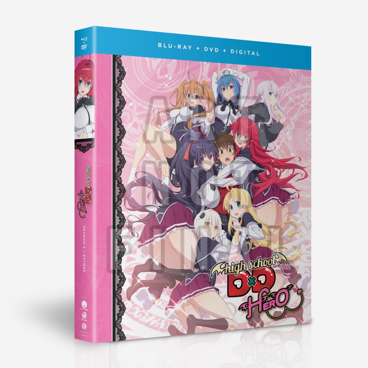  High School Dxd: Complete Series Collection [DVD