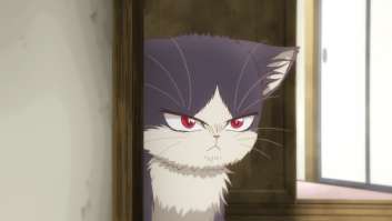 Watch My Roommate Is A Cat Sub Dub Comedy Slice Of Life Anime